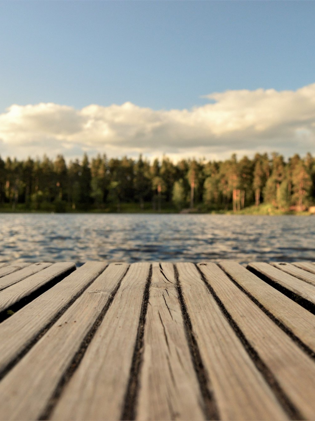 st-brieux-lake-properties